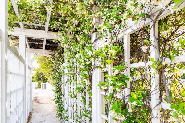 Trellis Repair in Layton