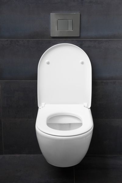 Toilet Lid Installation in Layton