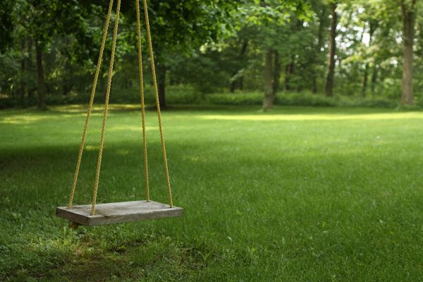 Rope Swing Installation in Layton