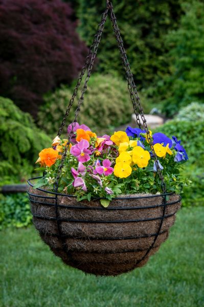 Hanging Basket Installation in Layton