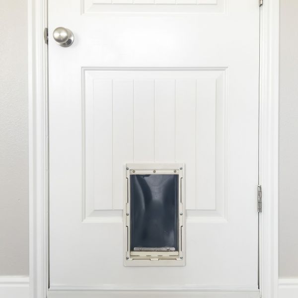 Pet Door Repair in Layton