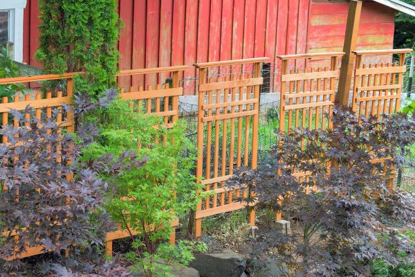 Wood Trellis Mounting in Layton
