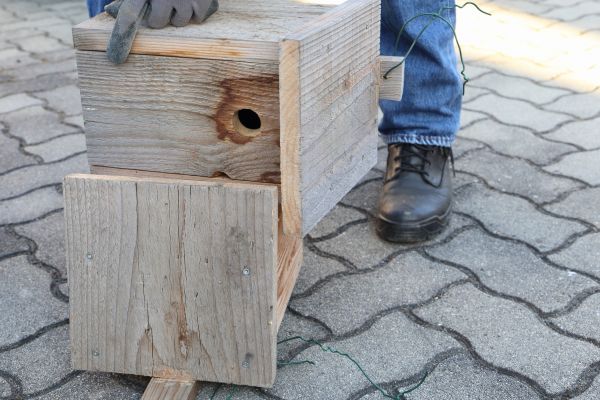 Birdhouse Mounting in Layton