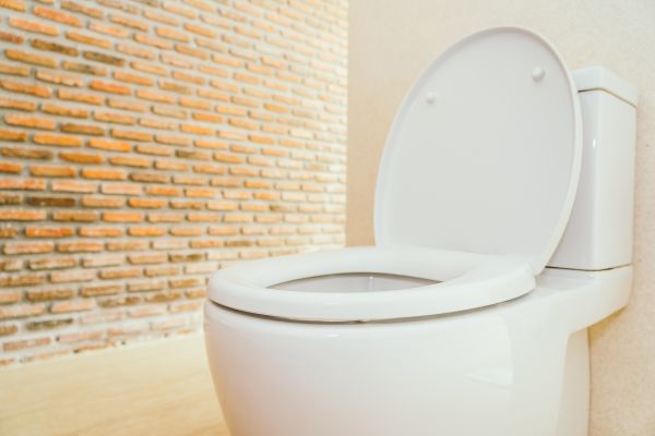Toilet Seat Repair in Layton